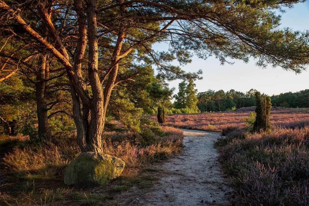 Duemmerliebe Mit Garten, 10 Min. Fusslaeufig Zum See Hüde Eksteriør bilde