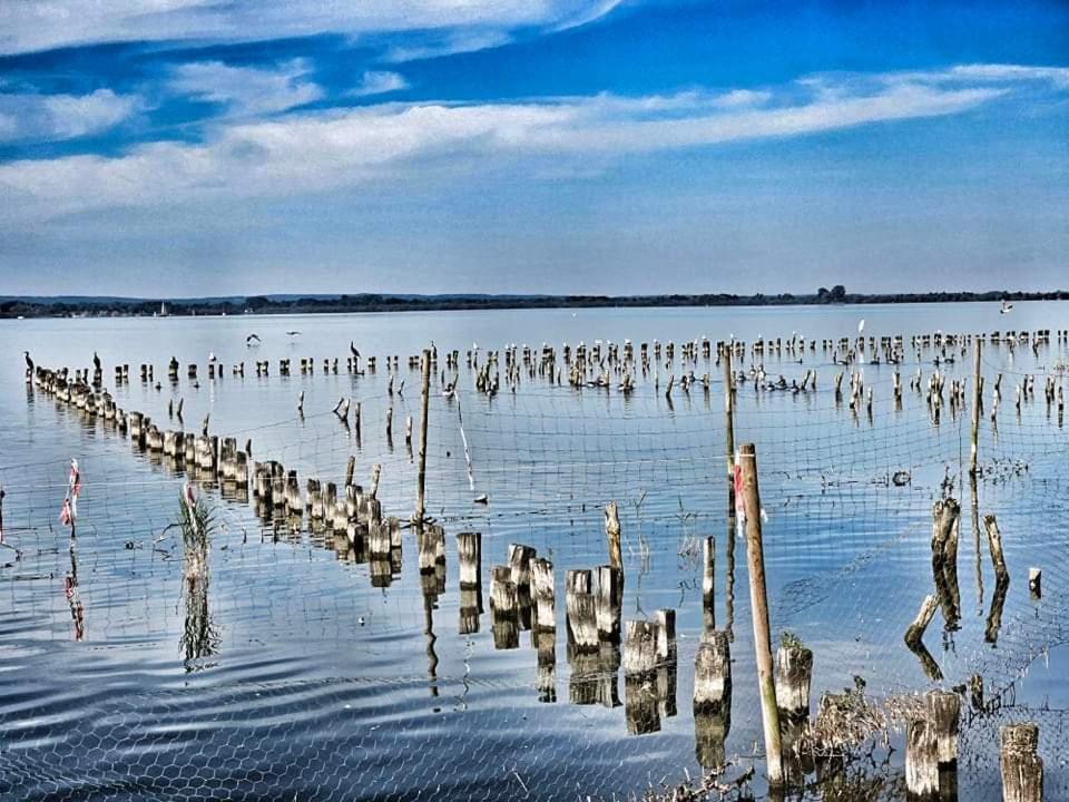 Duemmerliebe Mit Garten, 10 Min. Fusslaeufig Zum See Hüde Eksteriør bilde